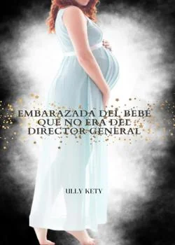 Portada de la novela Embarazada del bebé que no era del Director General