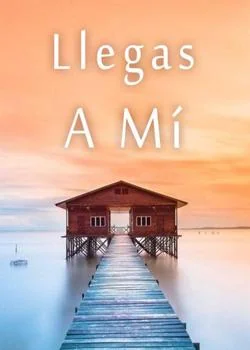Portada de la novela Llegas A Mí