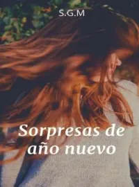 Portada de la novela Sorpresas de año nuevo