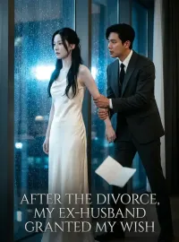 After the Divorce, My Ex-Husband Granted My Wish Novel Cover