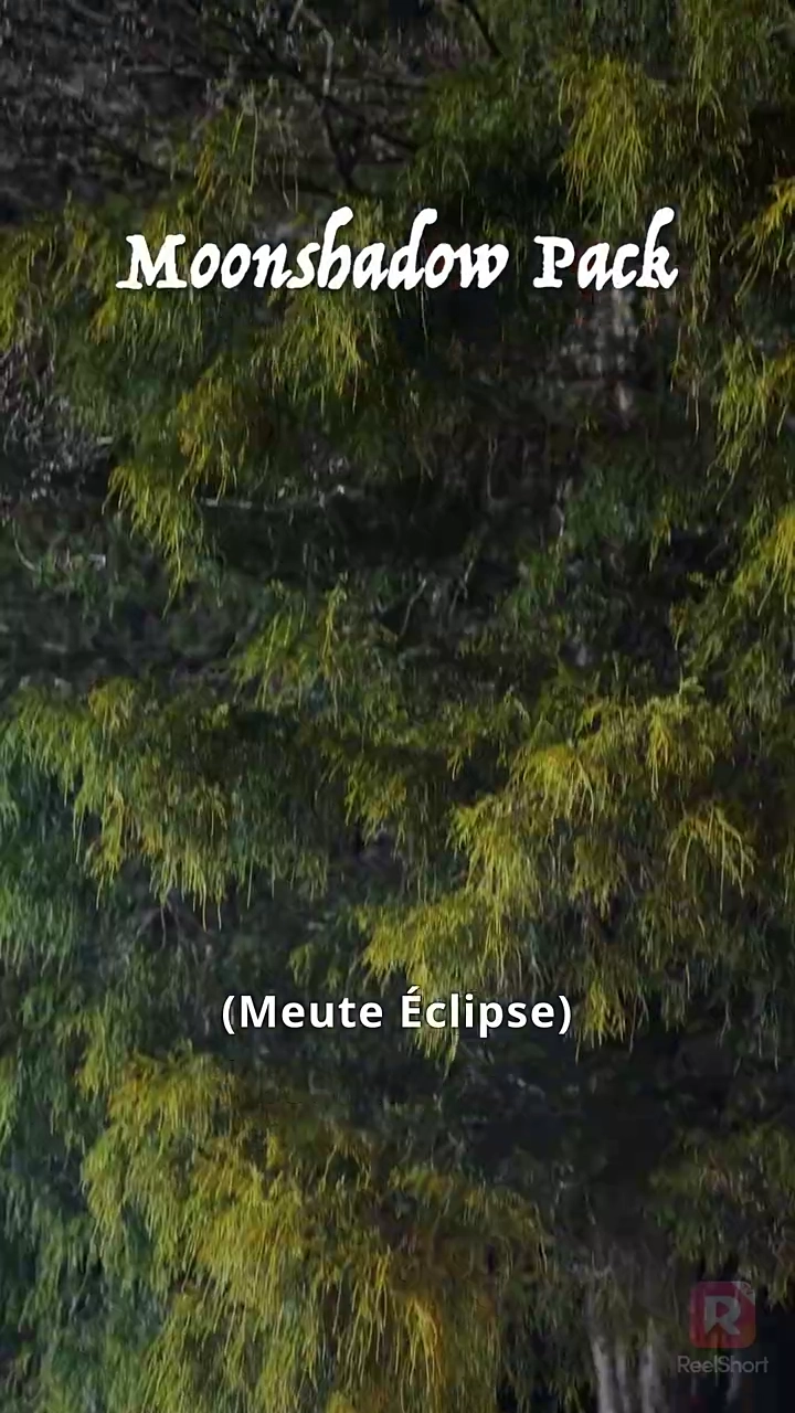 Deux Alphas sont Amoureux de MoiPhoto