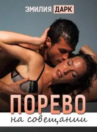 Обложка новеллы Порево на совещании