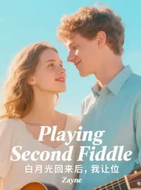 Playing Second Fiddle Novel Cover