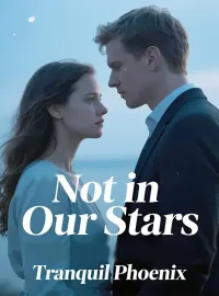 Not in Our Stars Novel Cover