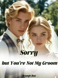 Sorry, but You're Not My Groom Novel Cover