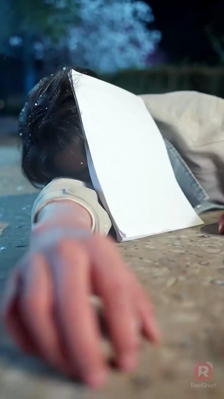 Quand la neige s'arrête, la vengeance commencePhoto