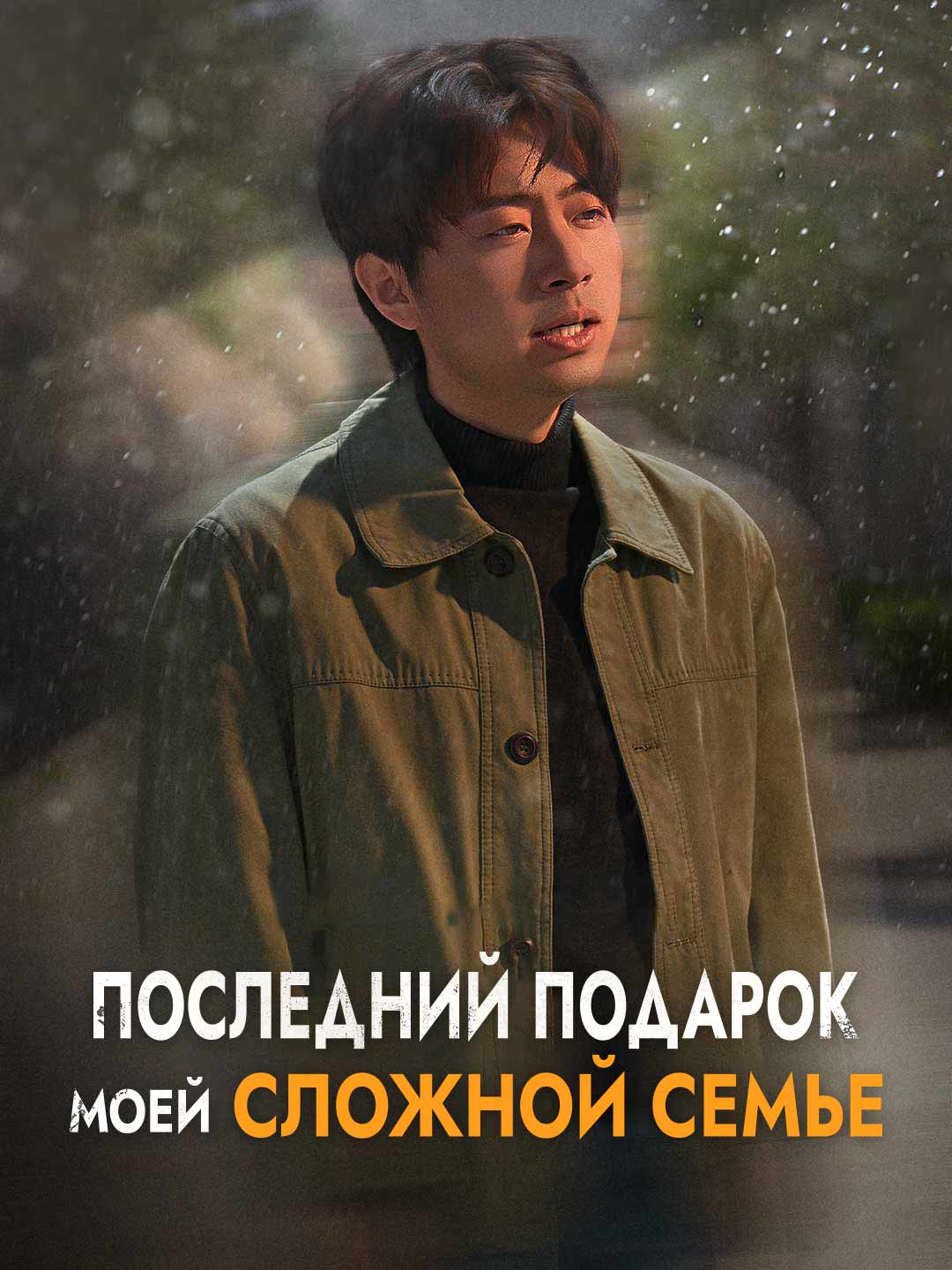 Последний подарок моей сложной семьеМини-сериал