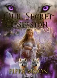 Our Secret Obsession (Book 2) Novel Cover
