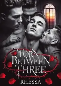 Torn Between Three Novel Cover