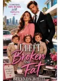 I Left Broken and Fat, I Came Back His Boss With Triplets Novel Cover