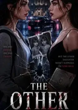 THE OTHER DAUGHTER Novel Cover