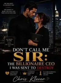DON'T CALL ME SIR: THE BILLIONAIRE CEO I WAS SENT TO DESTROY Novel Cover