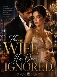 The Wife He Once Ignored. Novel Cover