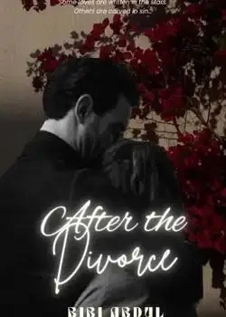 After Divorce  Novel Cover