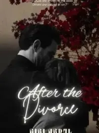 After Divorce 