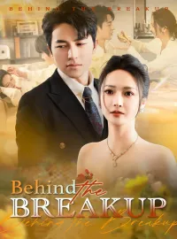 Behind the Breakup