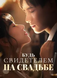 Будь свидетелем на свадьбеКороткие драмы
