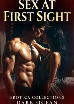 SEX AT FIRST SIGHT Novel Cover