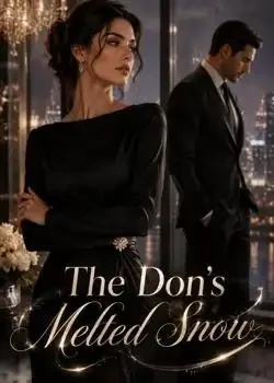 The Don's Melted Snow Novel Cover