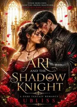 Ari and the shadow knight Novel Cover