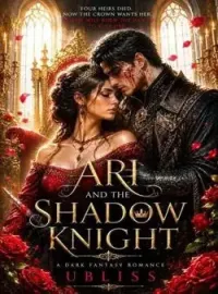 Ari and the shadow knight Novel Cover