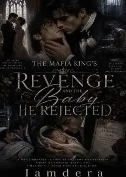 The Mafia King's Revenge And The Baby He Rejected  Novel Cover