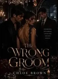 The Wrong Groom Novel Cover