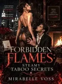 FORBIDDEN FLAMES: STEAMY TABOO SECRETS Novel Cover