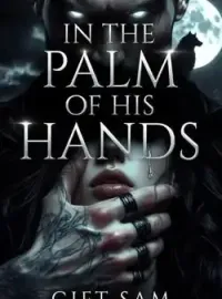 IN THE PALM OF HIS HANDS Novel Cover