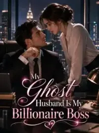 Flash Marriage: My Mysterious Boss Husband Novel Cover