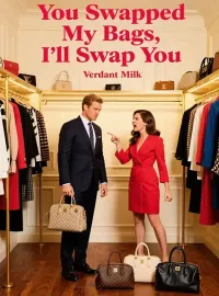 You Swapped My Bags, I'll Swap You Novel Cover