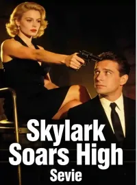 Skylark Soars High Novel Cover