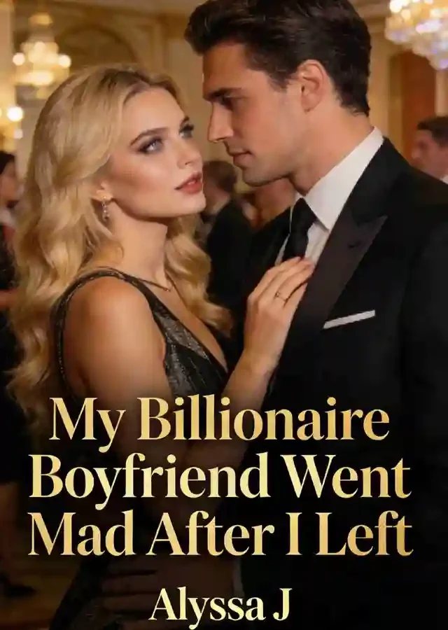 My Billionaire Boyfriend Went Mad After I Left Novel Cover