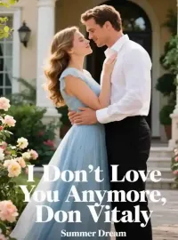 I Don't Love You Anymore, Don Vitaly Novel Cover