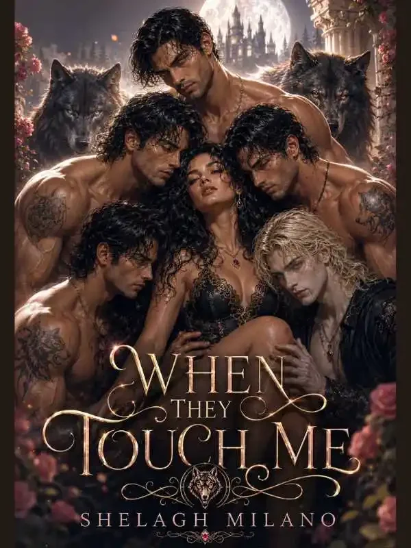 When they touch me  Novel Cover