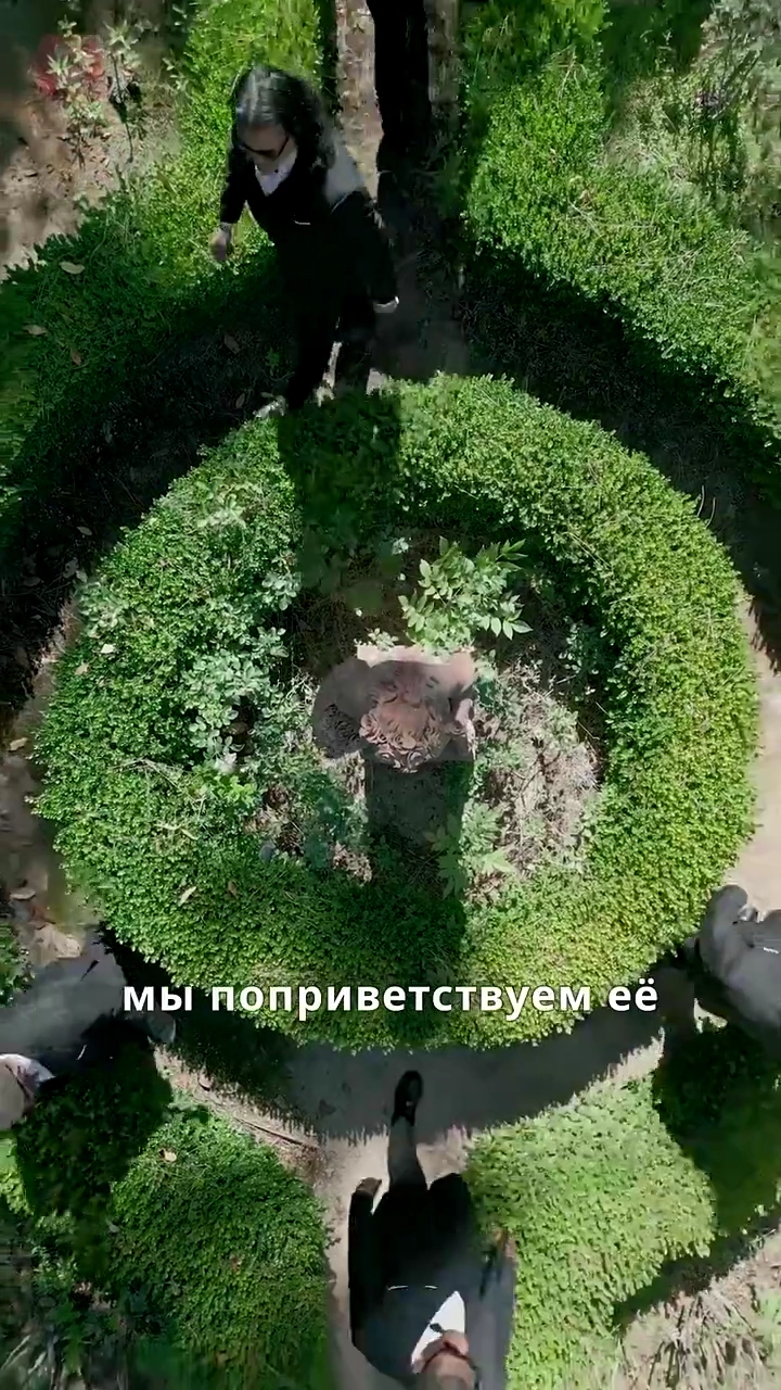 Сядь и не выделывайсяфото