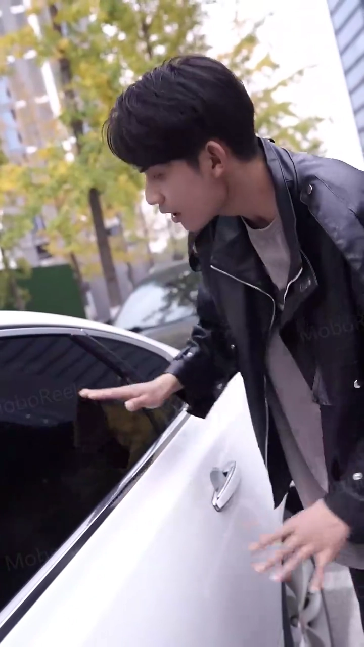 Maître de la chasse au trésorPhoto