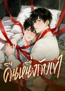 หน้าปกนวนิยาย คืนหนึ่งกับเขา