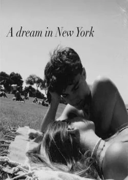 Capa do romance A Dream in New York