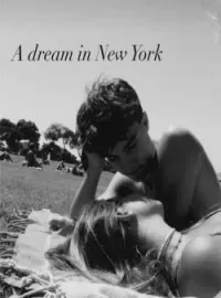Capa do romance A Dream in New York