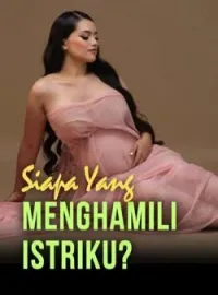 Sampul Novel Siapa Yang Menghamili Istriku?