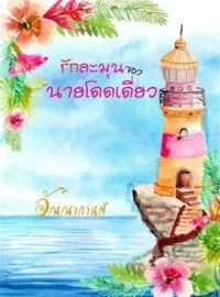 หน้าปกนวนิยาย รักละมุนของนายโดดเดี่ยว
