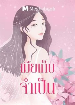 เมียเก็บจำเป็น
