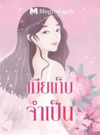 หน้าปกนวนิยาย เมียเก็บจำเป็น