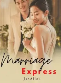 Sampul Novel Marriage Express