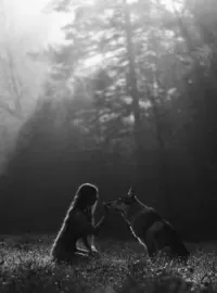 La Chasse