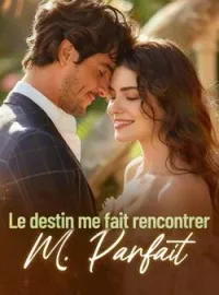 Couverture du roman Le destin me fait rencontrer M. Parfait