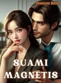 Sampul Novel Suami Magnetis