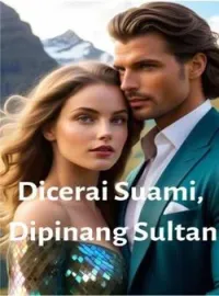 Sampul Novel Dicerai Suami, Dipinang Sultan