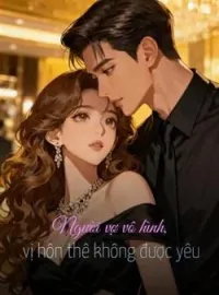 Bìa tiểu thuyết Người vợ vô hình, vị hôn thê không được yêu